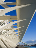 Promenade beside Museu de les Ciencies Principe Felipe, Valencia, Spain Photographic Print by Greg Elms