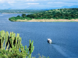 Boat in Kazinga Channel with Cactus in Foregound, Queen Elizabeth National Park, Bushenyi, Uganda Photographie par Ariadne Van Zandbergen