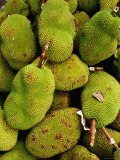 The Jack Fruit, Malaysia Photographie par Richard I'Anson