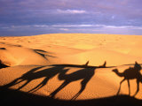 Camel Ride Shadows Across Sahara, Ksar Ghilane, Kebili, Tunisia Photographic Print by Christopher Groenhout
