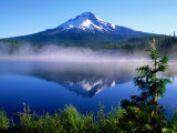 Trilium Lake with Mt. Hood in Background, Mt. Hood, Oregon Fotografisk tryk af John Elk III