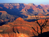 Grand Canyon from South Rim Near Yavapai Point, Grand Canyon National Park, Arizona Fotografisk tryk af David Tomlinson Grand Canyon from South Rim Near Yavapai Point, Grand Canyon National Park, Arizona Fotografisk tryk af David Tomlinson