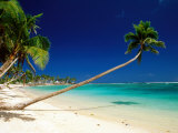 Palm Trees Leaning Towards Sea at Matautu Beach, Matautu, A'Ana, Upolu, Samoa Photographie par Peter Hendrie