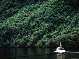 Boat on Sound with Forested Hillside Backdrop, Doubtful Sound, New Zealand Photographie par Peter Hendrie