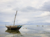 Fishing Dhow in Matemwe Village on East Coast, Tanzania Photographic Print by Ariadne Van Zandbergen