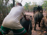 Men Driving Elephants for Ride, Bolaven Plateau, Champasak, Laos Photographic Print by John Elk III