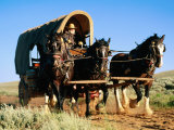 Mormon Man Driving Horse Carriage, Mormon Pioneer Wagon Train to Utah, Near South Pass, Wyoming Photographic Print by Holger Leue