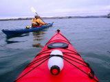 People Kayaking through Elkhorn Slough, Moss Landing, Near Santa Cruz, Santa Cruz, California Lámina fotográfica por Eddie Brady People Kayaking through Elkhorn Slough, Moss Landing, Near Santa Cruz, Santa Cruz, California Lámina fotográfica por Eddie Brady