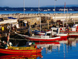 Fishing Boats in Harbour, Punta del Este, Maldonado, Uruguay Photographic Print by Krzysztof Dydynski