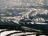 Wet Rice Is Grown in Terraced Mountain Valleys of Northern Vietnam, Sapa, Lao Cai, Vietnam Photographic Print by Stu Smucker