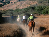 People Horseback Riding Down Dusty Track, Big Sur, California Fotografisk trykk av Eddie Brady People Horseback Riding Down Dusty Track, Big Sur, California Fotografisk trykk av Eddie Brady
