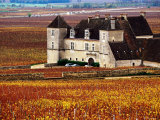 Chateau Surrounded by Vines, Burgundy, France Photographie par Oliver Strewe
