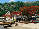 Beach with Flamboyant Tree on Anse la Raye, Anse la Raye Photographic Print by Holger Leue