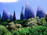 Tjibaou Arts and Cultural Centre, Noumea, South Province, New Caledonia Photographie par Peter Hendrie