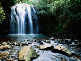 Millaa Millaa Falls, Atherton Tablelands, Queensland, Australia Photographic Print by Holger Leue