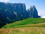Alpine Meadow with Sciliar Peaks, Dolomites, Italy Photographic Print by John Elk III