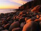 Otter Cliffs at Sunrise, Acadia National Park, Maine Lámina fotográfica por Eddie Brady Otter Cliffs at Sunrise, Acadia National Park, Maine Lámina fotográfica por Eddie Brady