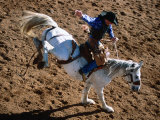 Bronco Rider at Cloncurry Rodeo, Cloncurry, Queensland, Australia Photographic Print by Holger Leue