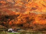 Baysbrown Farm and Slopes of Ligmoor Fell at Great Langdale, England Photographic Print by David Tomlinson
