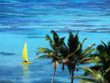 Hobie Catamaran with Coconut Trees in Foreground Photographie par Holger Leue