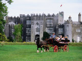 Horse Carriage with Birr Castle Demesne, Ireland Photographie par Holger Leue