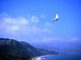Hang Gliding at Fort Funston, San Francisco, California Photographic Print by Ray Laskowitz