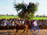 Bullock Cart Race, Madurai, Tamil Nadu, India Photographic Print by Greg Elms