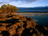 Port Smith Lagoon, Kimberley, Western Australia Photographic Print by Holger Leue