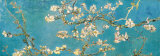 Mandorli in fiore, San Remy, ca. 1890 Stampe di Vincent van Gogh Mandorli in fiore, San Remy, ca. 1890 Stampe di Vincent van Gogh