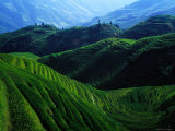 Ricescapes, China Photographie par Richard I'Anson