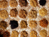 Researching Rice, Philippines Fotografie-Druck von Richard I'Anson