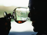 Mount Gay Rum Distillery Visitor Centre Tasting, Bridgetown Photographic Print by Holger Leue