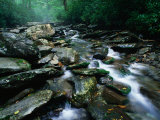 Water Flowing over Rocks in Alum Creek, Great Smoky Mountains National Park, Tennessee Photographie par John Elk III