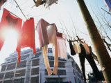 Morning Laundry, Shanghai, China Photographic Print by Ray Laskowitz