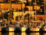 Harbour Yachts and Town Buildings in Morning, Menton, Provence-Alpes-Cote d'Azur, France Photographic Print by David Tomlinson