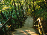 Stairs to Ocean at Mons Klint, Mon, Storstrom, Denmark Photographic Print by John Elk III