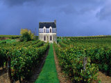 House in a Vineyard, Loire Valley, Chinon, Centre, France Photographic Print by Oliver Strewe