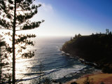 Anson Bay with Norfolk Island Pines, Australia Photographie par Holger Leue
