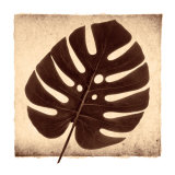 Monstera I Posters par Michael Mandolfo