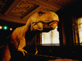 Tyrannosauraus Rex at Natural History Museum, London, Greater London, England Stampa fotografica di Glenn Beanland