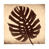 Monstera II Poster by Michael Mandolfo