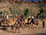 Camel Riding on the Sandy Bed of Todd River at Heavitree Gap,South of Alice Springs, Australia Fotografie-Druck von Ross Barnett