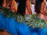 Row of Dancers, Rarotonga, Southern Group, Cook Islands Photographic Print by Peter Hendrie