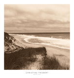 Wellfleet Dune Poster by Christine Triebert
