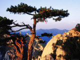 Trail Between East Peak and South Peak, Hua Shan, Shaanxi, China Photographic Print by Krzysztof Dydynski
