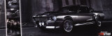 GT 500 Photo