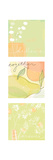 Together Triptych Posters