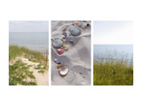 Shells and Dunes Triptych Prints