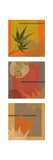 Autumn Collage Triptych Posters