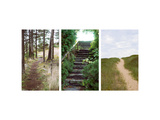 Many Paths Triptych Posters